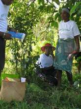 Piroette receives special recognition