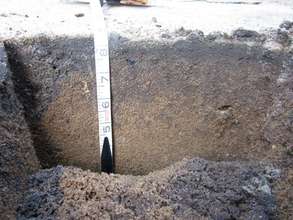 Sand soils before treatment