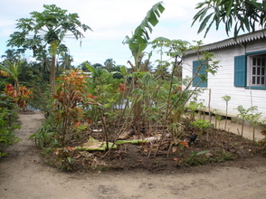 CPALI garden after rearing
