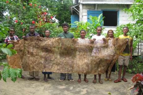 Help Farmers Rear Silk Moths to Restore Forests