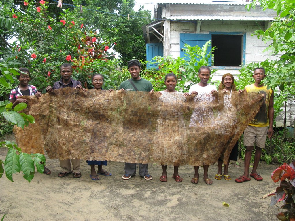 Help Farmers Rear Silk Moths to Restore Forests