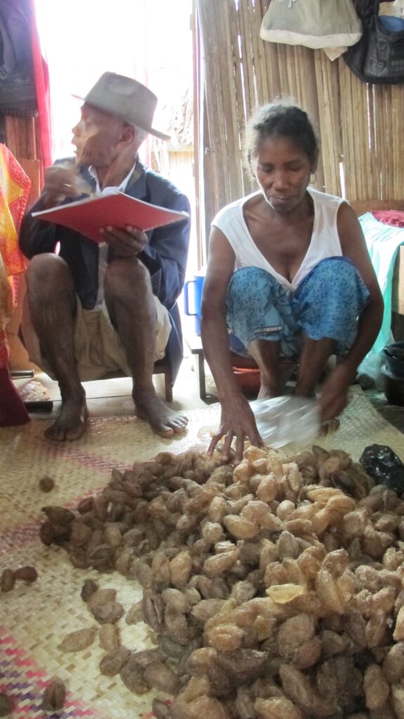 Determining Marie Jeanne's productivity