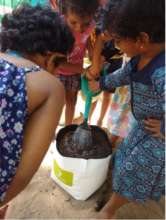 Learning how to water the plants