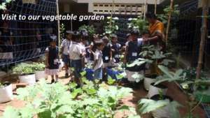 myHarvest schoolgardens