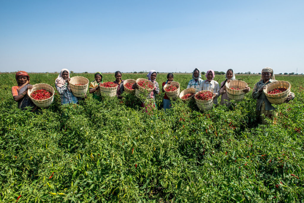 Support Organic Farms and Schoolgardens in India