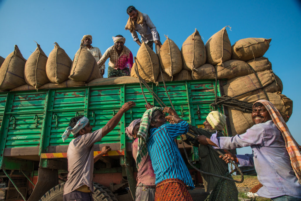 Support Organic Farms and Schoolgardens in India