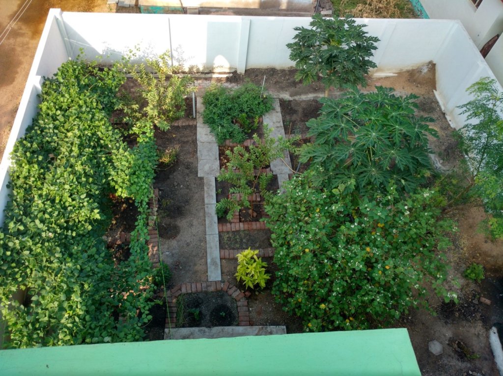 Support Organic Farms and Schoolgardens in India