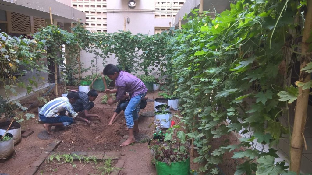 Support Organic Farms and Schoolgardens in India