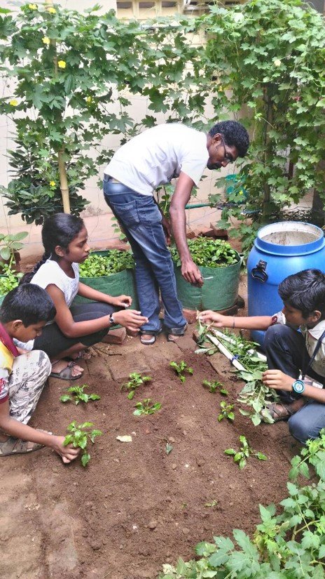 Support Organic Farms and Schoolgardens in India
