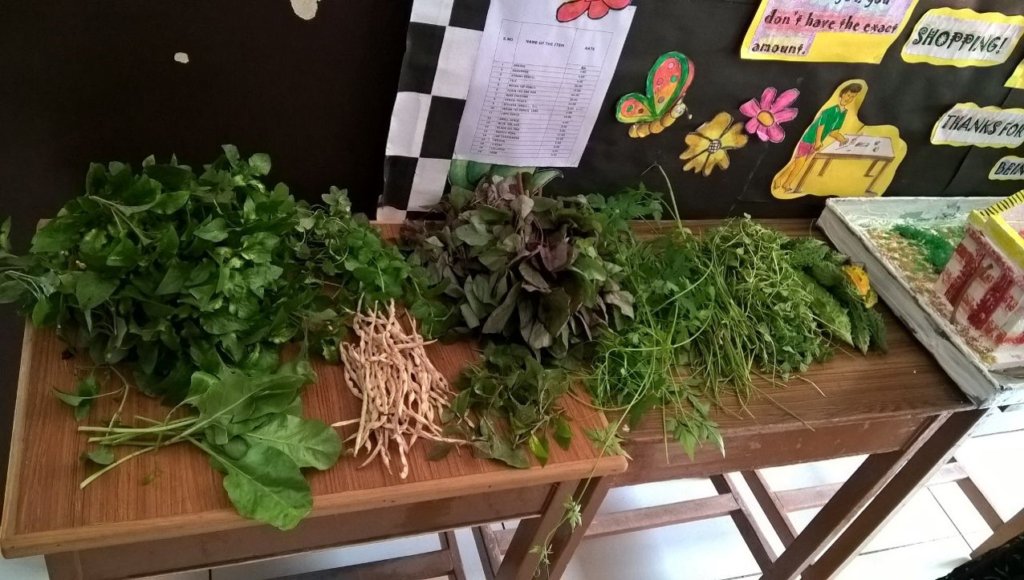 Support Organic Farms and Schoolgardens in India