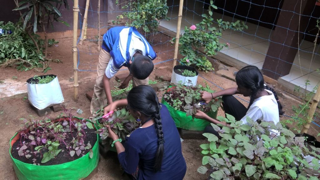 Support Organic Farms and Schoolgardens in India