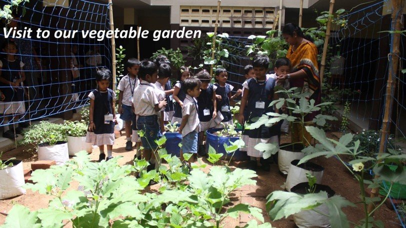 Support Organic Farms and Schoolgardens in India