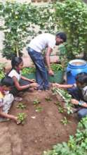 myHarvest