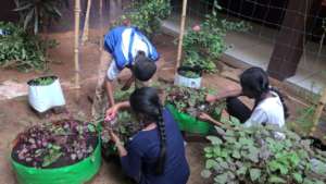 myHarvest