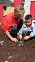 Seeding the seeds