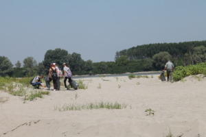 Cleaning the environment