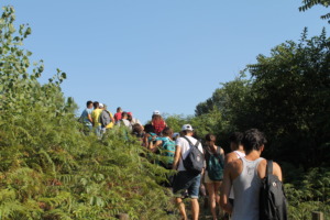 Walking in the nature