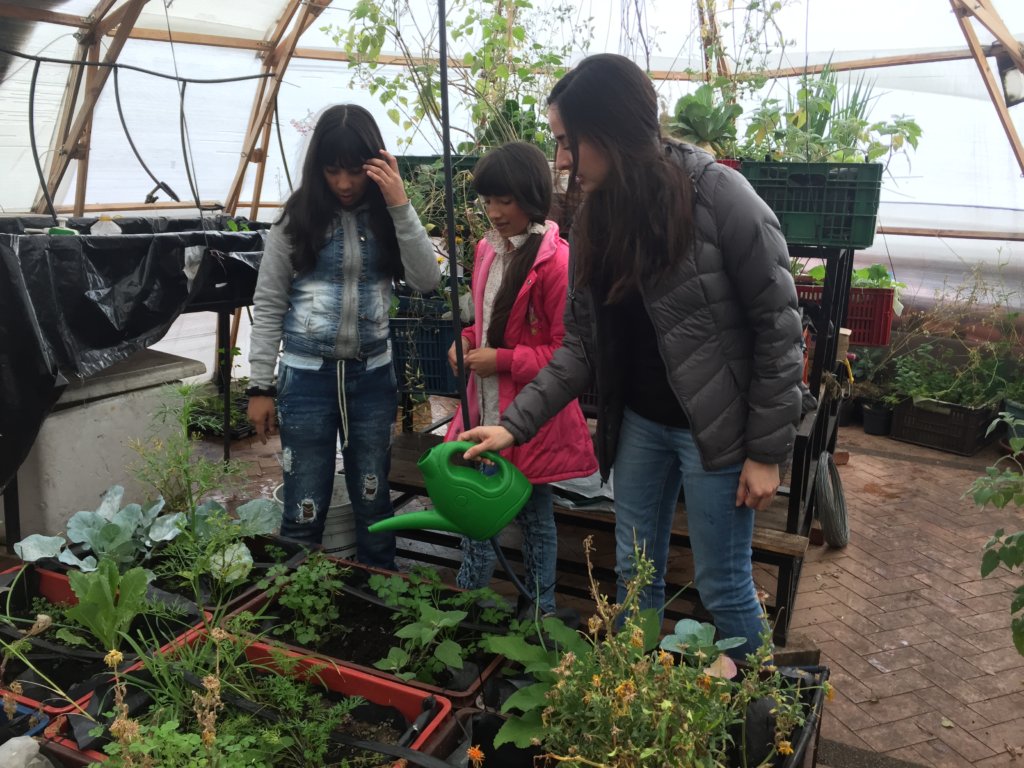 Empower & Support Nonprofits in South America