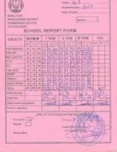 Aimee's Amazing Report Card