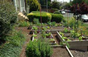 House of Healing Gardens