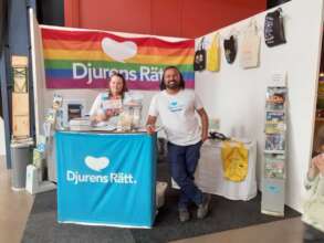 West Pride, Gothenburg