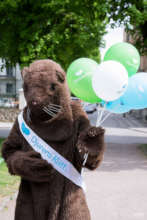 Djurens Ratt mascot Minkaela