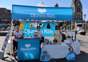 Tour stop in Halmstad, Sweden