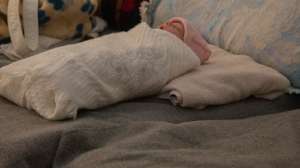 PHOTO: ALI AL-MARIE/SYRIA RELIEF