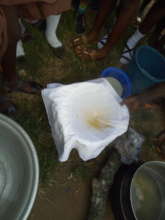 Offin River water filter gathering residue
