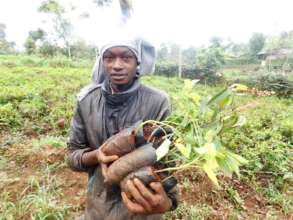 Youths planting fruit trees