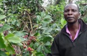 Improve Coffee Production in Embu