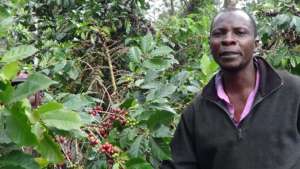 Improve Coffee Production in Embu