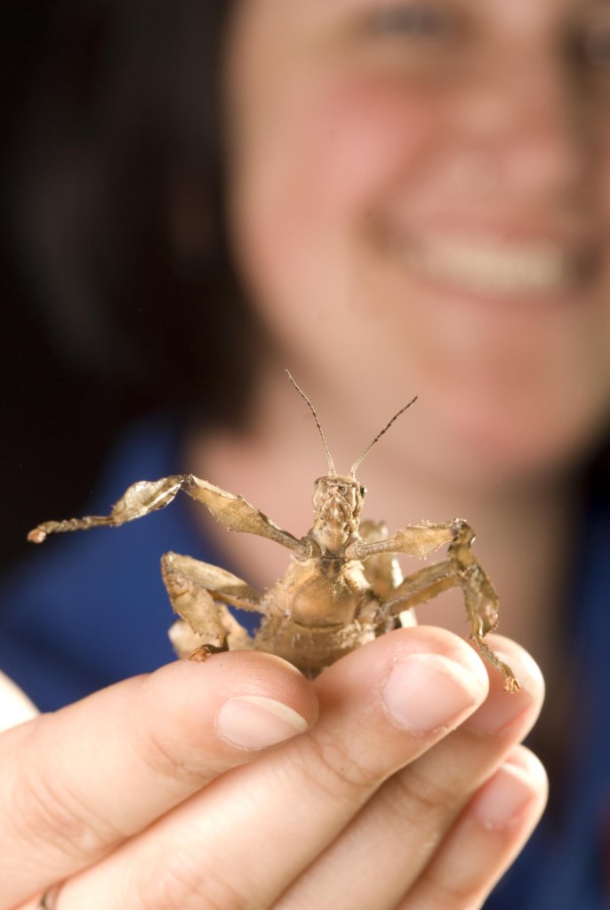 STEM Education for Kids at Title 1 Schools