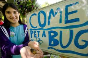 Pet a Bug