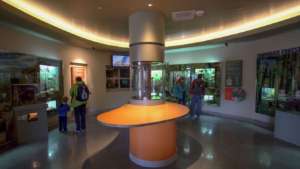 Insect Zoo