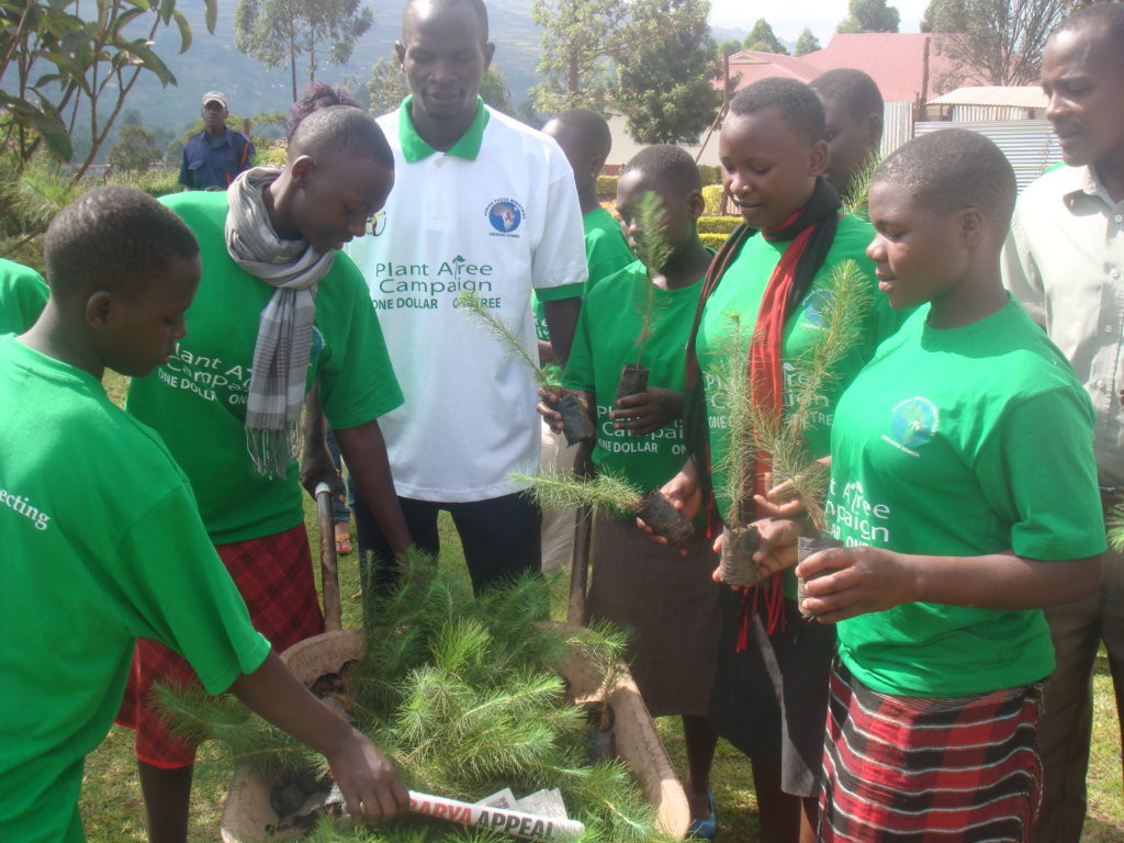 Green Schools Project