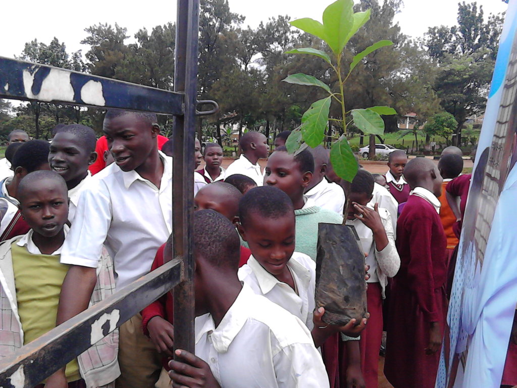 Green Schools Project