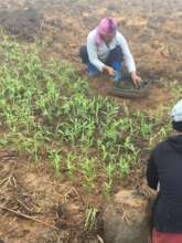 training farmers