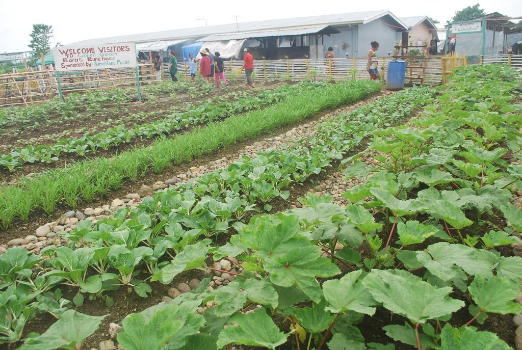 Providing farm support