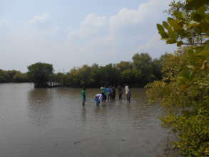 Students in conservation works