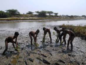 students in planting work