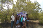 Mangroves Planting and Conservation Program