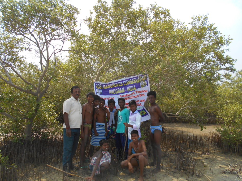 Mangroves Planting and Conservation Program