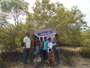 Mangroves Planting and Conservation Program