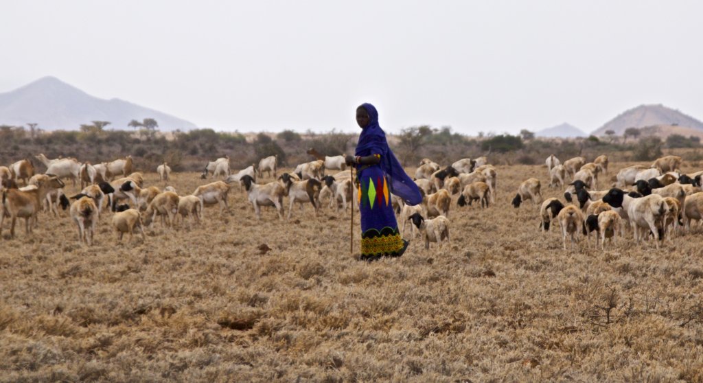 Solar MP3 Education for Pastoral Women in Kenya