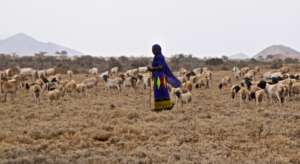 Nomadic woman pastoralist