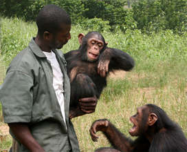 Kakua with his keeper Serge