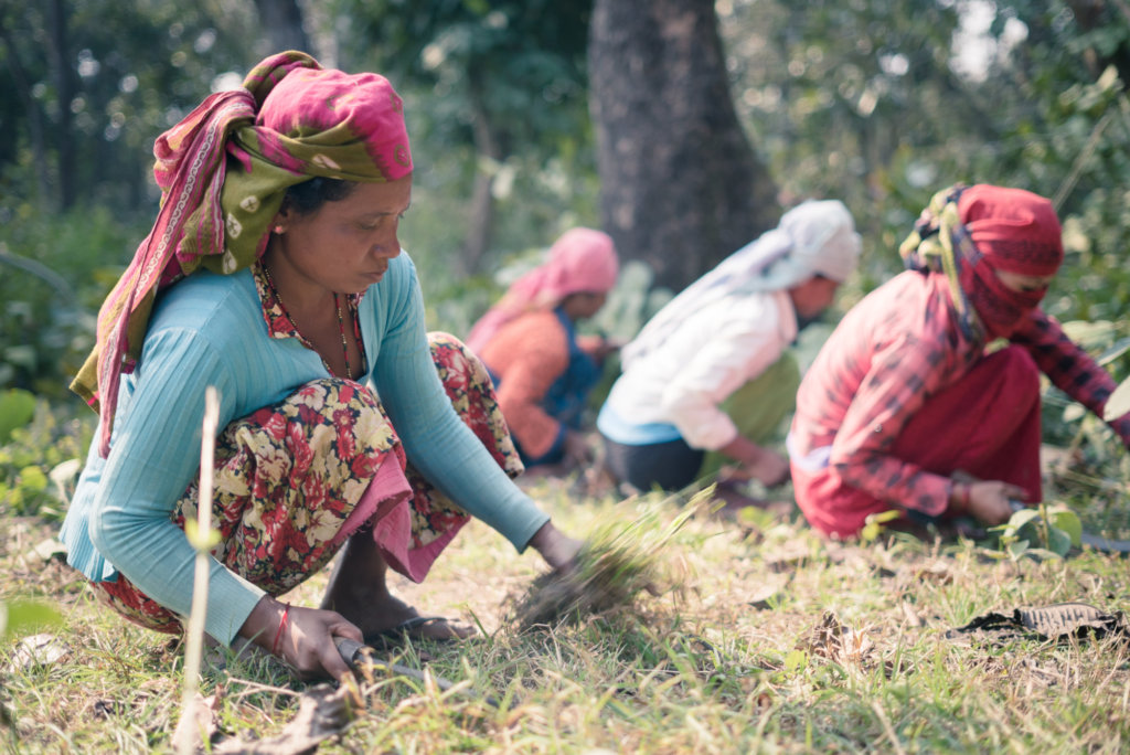 Light for 200 of Nepal's Poorest