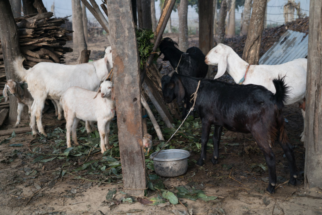 Light for 200 of Nepal's Poorest
