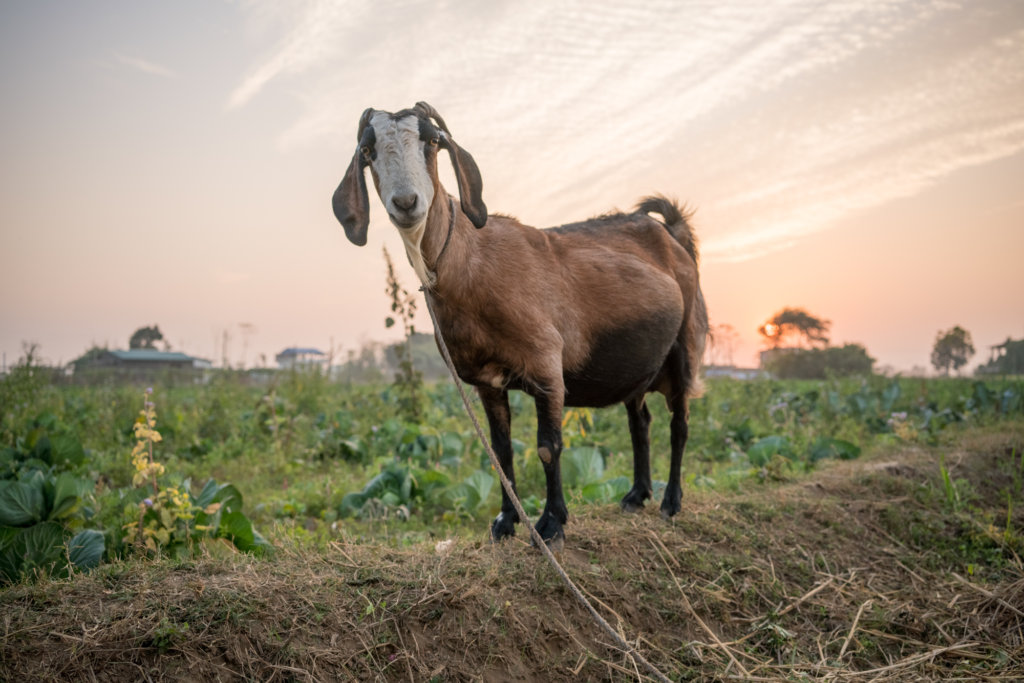 Light for 200 of Nepal's Poorest